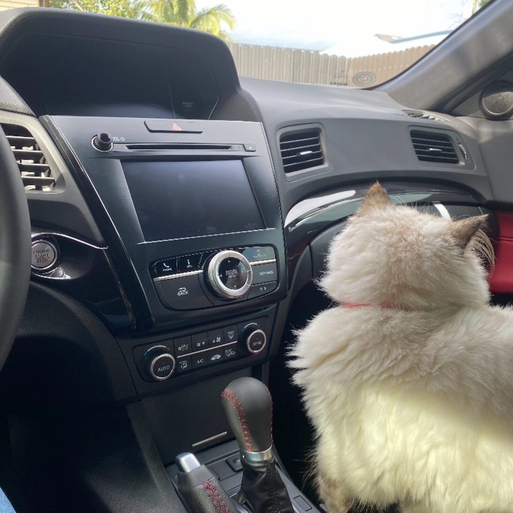 Meet your Posher, Shaun